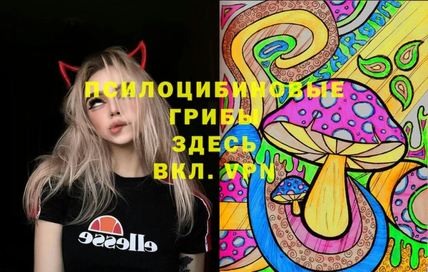 mix Абаза