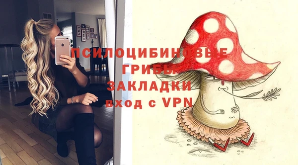гидропоника Алексеевка