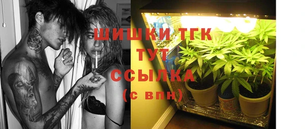 стафф Абинск
