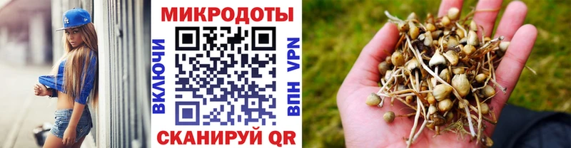 Псилоцибиновые грибы Cubensis  Кизилюрт 